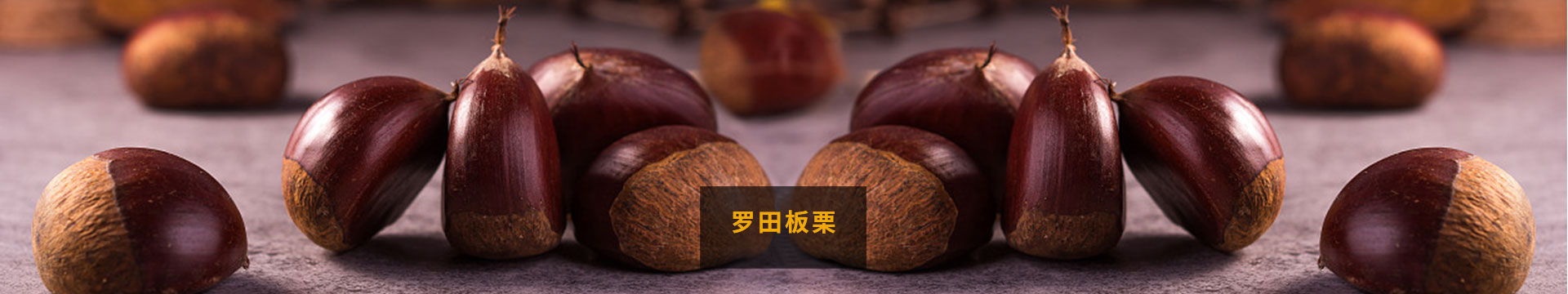 湖北板栗_關(guān)于弘福banner