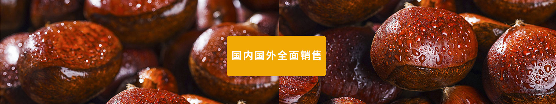 湖北板栗_產(chǎn)品中心banner